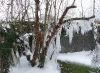 2012-6-febbraio-neve3