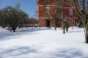 2012-6-febbraio-neve8