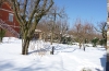 2012-6-febbraio-neve9