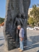 PXL_20241002_102119645_exported_33_1729064962611