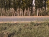 PXL_20241003_070343258_exported_302_1728897423119
